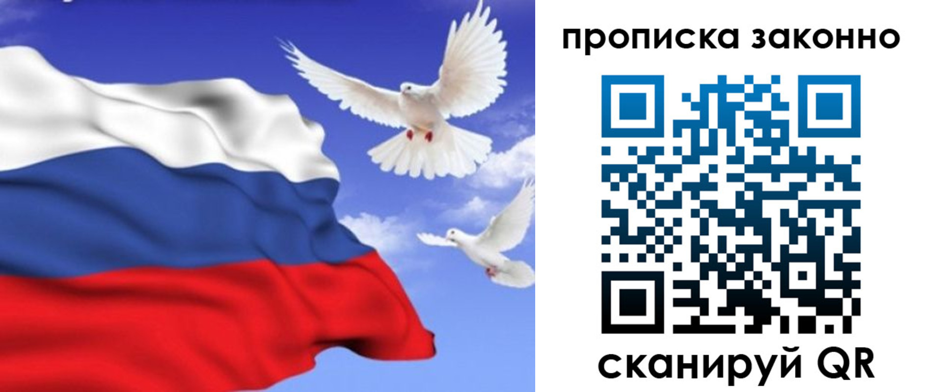 прописка в Жердевке