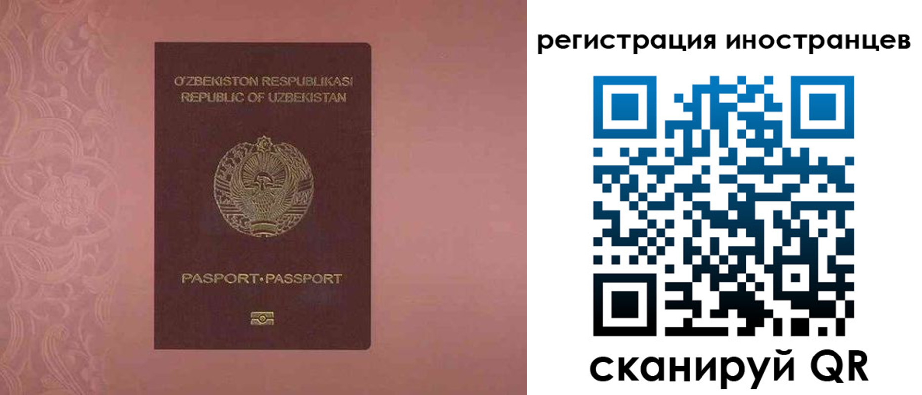 временная регистрация госуслуги в Жердевке